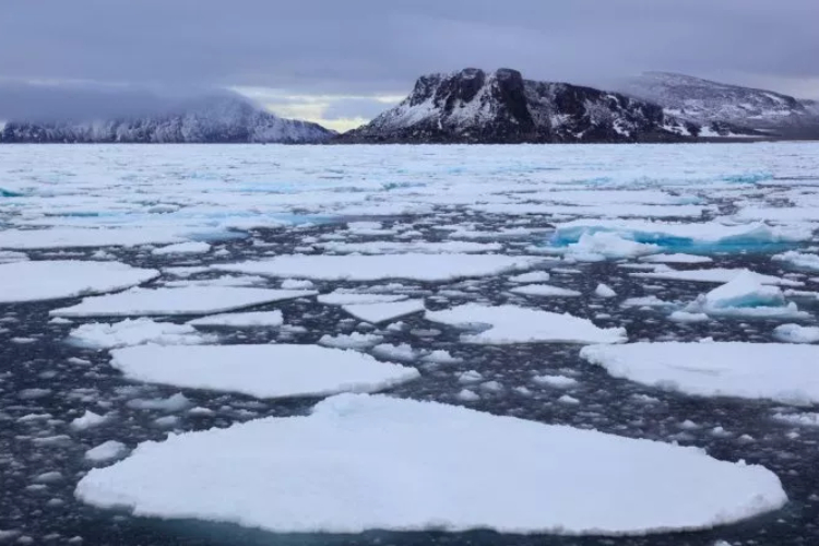 อาจมีสิ่งมีชีวิตขนาดใหญ่อยู่ใต้น้ำแข็งแอนตาร์กติก